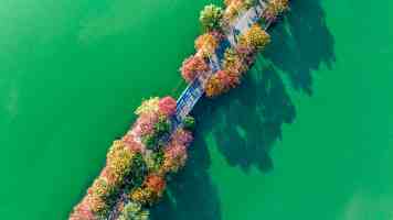2025年5月28日国台办新闻发布会文字实录