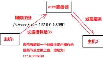 精品视频获取全流程 - 从片源到播放的设备与平台选择