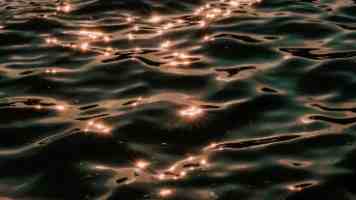 命运与共好伙伴 | 汉语教育之花结出中柬友好的累累硕果