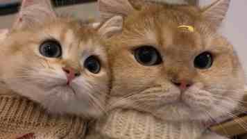 亚洲精品电影｜从釜山行到燃烧，七部亚洲神作精选