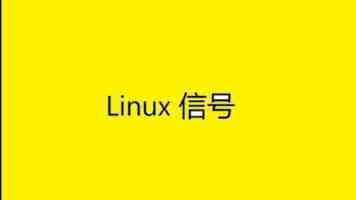 唐伯虎的心糖冉冉学姐简介｜走红原因与日常分享
